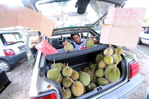 DURIAN