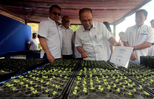 DATUK SERI WAN ROSDY WAN ISMAIL