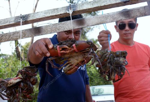 PH02_30042017_KETAM