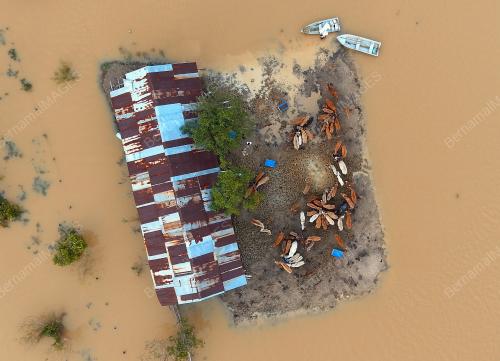 PH02_31012017_BANJIR