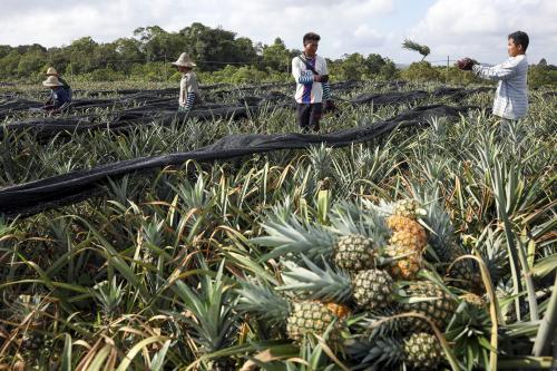 AQINA FRUITS REKOD LONJAKAN NILAI EKSPORT