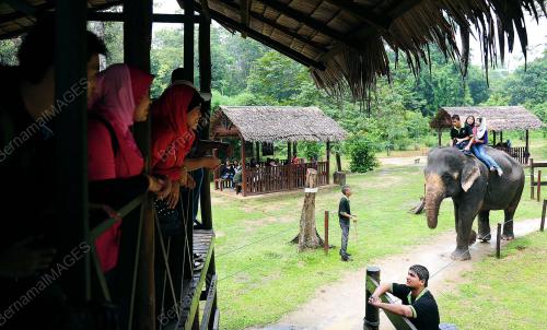 PH03_02012012_GAJAH