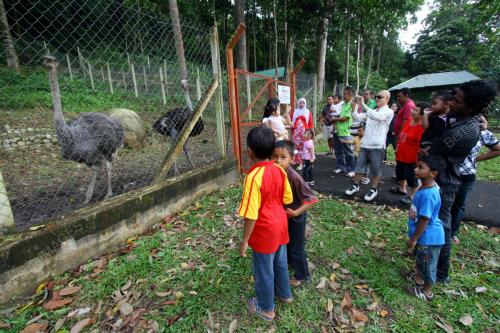 PH03_03022011_CUTI_CNY