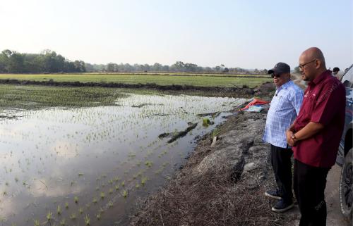 DATUK SERI MOHAMAD SABU