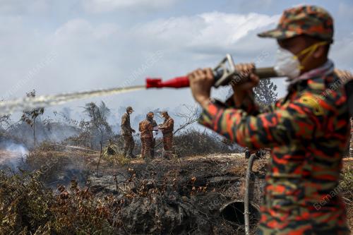 KEBAKARAN LADANG KELAPA