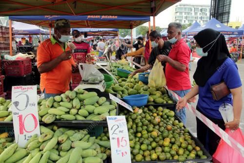 TINJAUAN DI PASAR TANI MASA PKPP