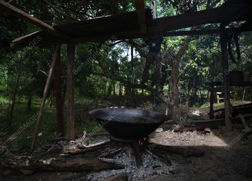 BUAH KABUNG LARIS BULAN PUASA