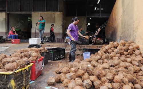 PH03_05072016_KELAPA