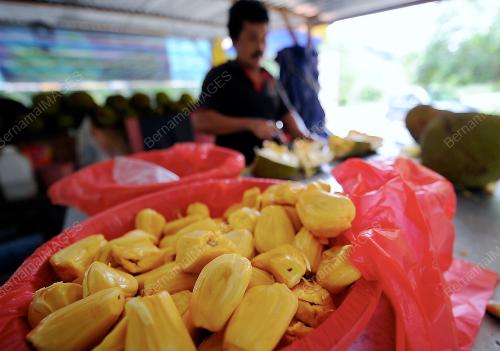 PH03_05092012_NANGKA