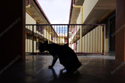 PEMATUHAN KEKAL DI RUMAH