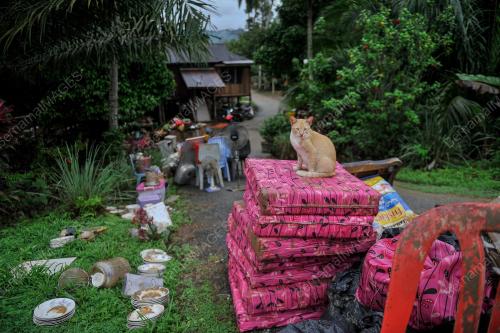 TINJAUAN BANJIR RAUB
