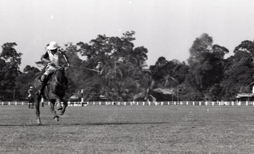 PERTANDINGAN POLO
