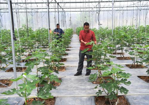 PH03_08042019_BUAH_TIN