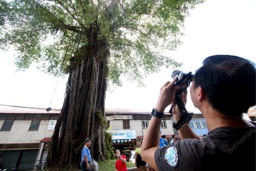 PH03_08052017_POKOK