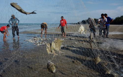 NELAYAN MEMUKAT DI PANTAI