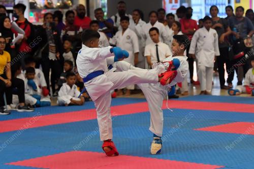 HARI SUKAN NEGARA PERINGKAT NEGERI PAHANG