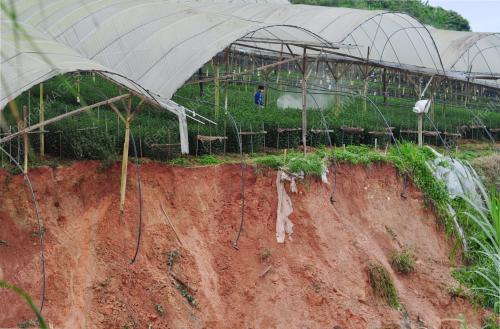 PH03_08114_BANJIR_08112014