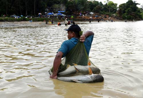 PESTA MENJALA IKAN