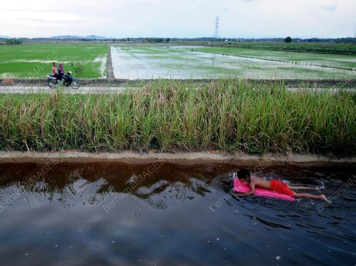 PH03_09062015_SAWAH