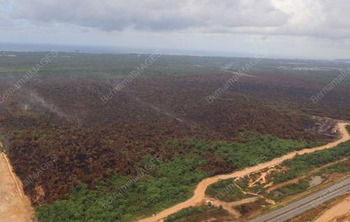 KEBAKARAN HUTAN DI PAHANG SEMAKIN PULIH