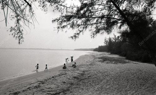 PH03_12012015_PANTAI_TERUNTUM
