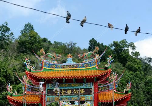 PH03_12012017_CNY