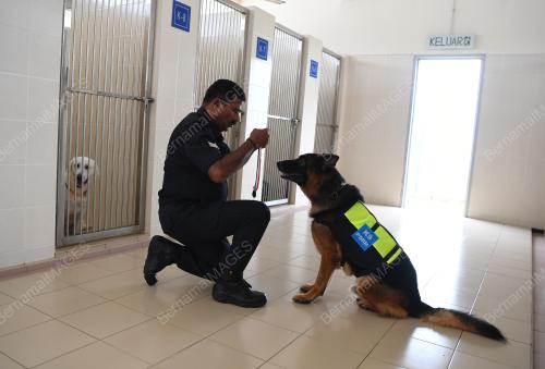 ANJING K9 POLIS PAHANG