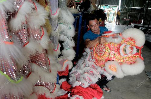 TINJAUAN TAHUN BARU CINA