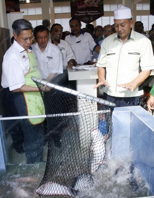 MUSTAPA MOHAMED