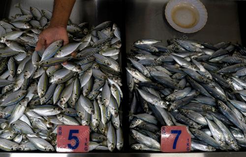 TINJAUAN BEKALAN IKAN SEGAR MUSIM TENGKUJUH