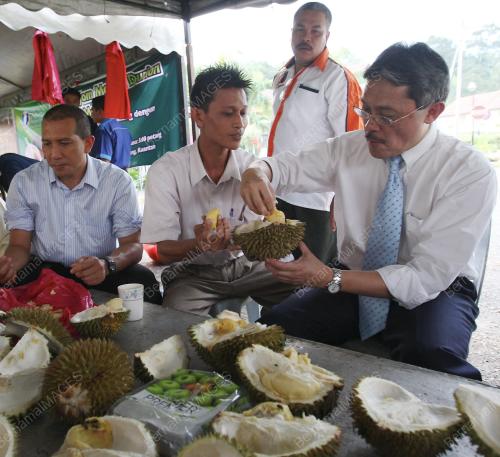 PROF DR AHMAD YUSOFF HASSAN