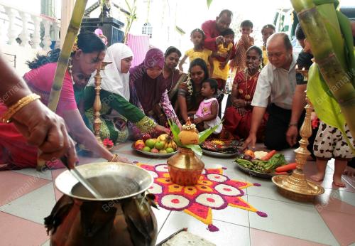 PH03_14012011_PONGGAL