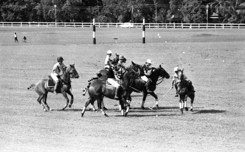 PH03_14072015_POLO