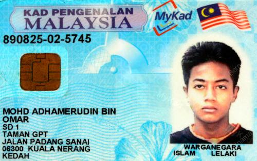 LEMAS