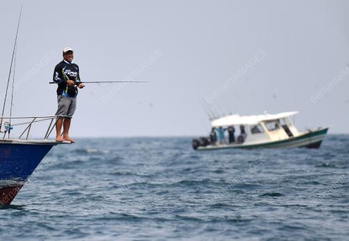 PH03_15092018_BILLFISH