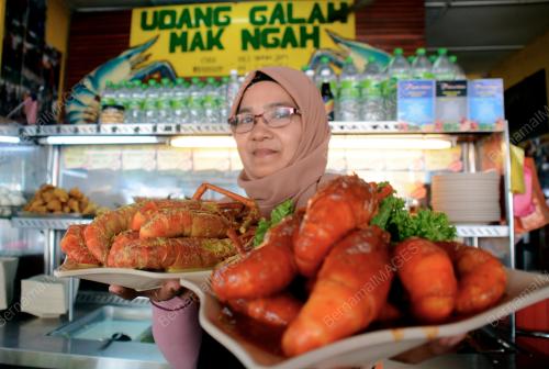 UDANG GALAH TARIKAN ROMPIN