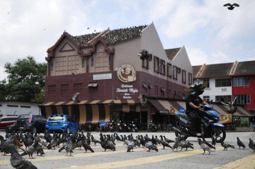 BURUNG MERPATI TARIKAN PELANCONGAN