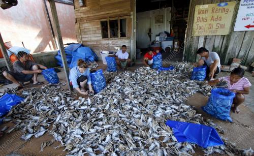 PH03_16042012_IKAN_KERING