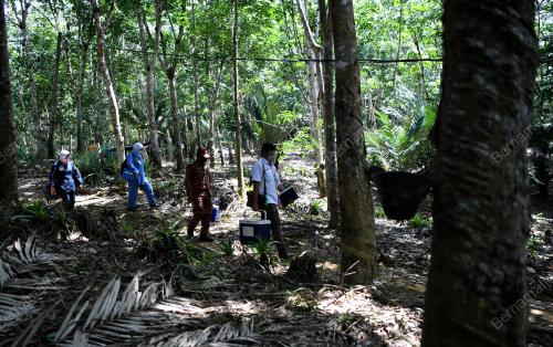 VAKSIN KAWASAN PEDALAMAN