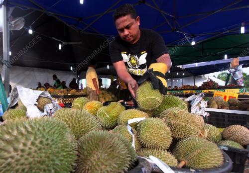 PH03_16072018_DURIAN