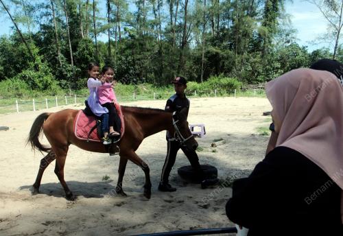 MENUNGGANG KUDA