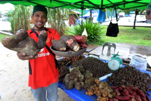 PH03_16122014_TENGKUJUH