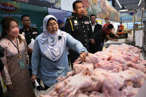 SENATOR FUZIAH SALLEH