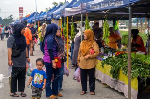 KOMBO MADANI RM10 BERBALOI, "LAKU KERAS" DI JUALAN AGRO