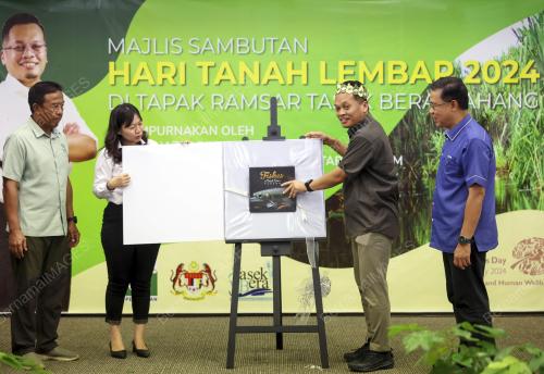 NIK NAZMI NIK AHMAD