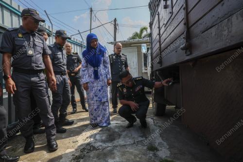 JEZILY JAMALUDDIN