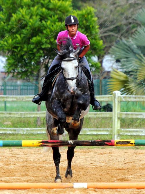 PH03_19102018_EKUASTRIAN