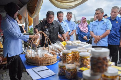 DATUK SERI DR ISMAIL MOHAMED SAID