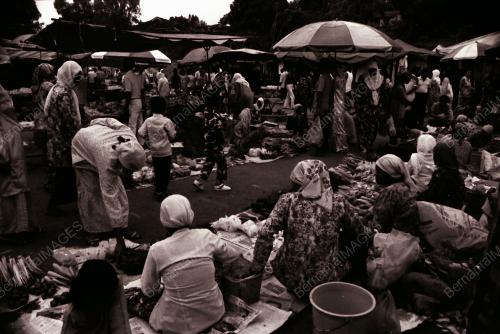PEKAN SARI TEMERLOH