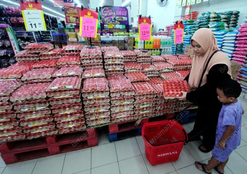 TINJAUAN TELUR AYAM DI PASARAN